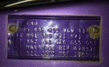 Unknown-Challenger-1970-Plum-Crazy-Purple-8