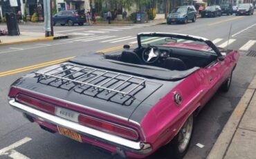 Unknown-Challenger-1970-Two-Tone-Panther-Pin-1