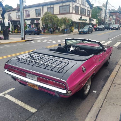 Unknown-Challenger-1970-Two-Tone-Panther-Pin-1