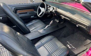 Unknown-Challenger-1970-Two-Tone-Panther-Pin-11
