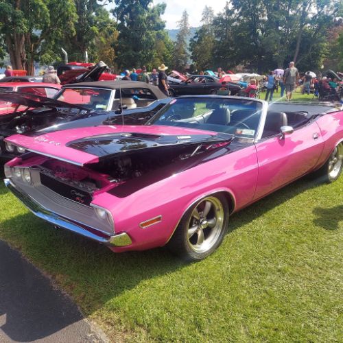 Unknown-Challenger-1970-Two-Tone-Panther-Pin-12