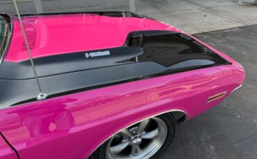 Unknown-Challenger-1970-Two-Tone-Panther-Pin-15
