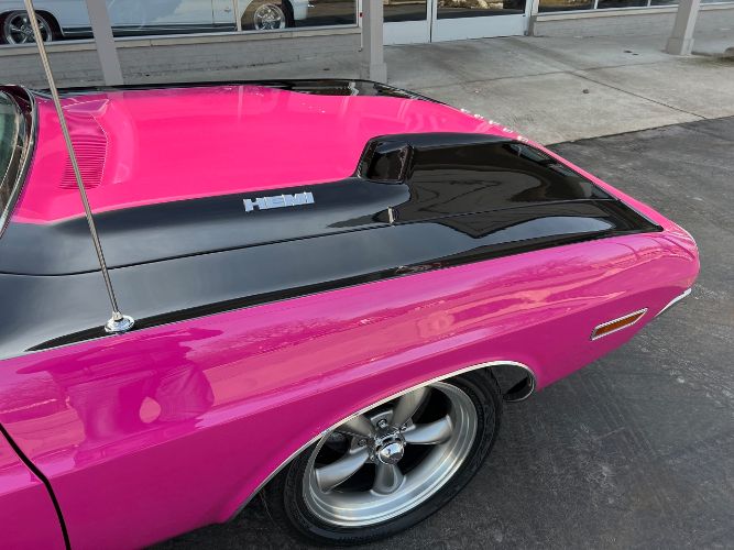 Unknown-Challenger-1970-Two-Tone-Panther-Pin-15