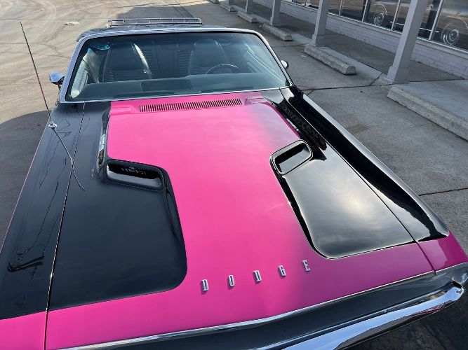 Unknown-Challenger-1970-Two-Tone-Panther-Pin-17