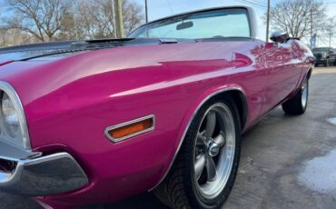 Unknown-Challenger-1970-Two-Tone-Panther-Pin-19