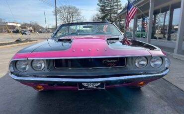 Unknown-Challenger-1970-Two-Tone-Panther-Pin-21