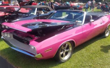Unknown-Challenger-1970-Two-Tone-Panther-Pin-5