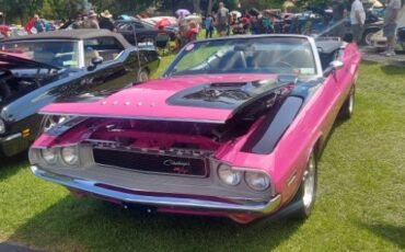 Unknown-Challenger-1970-Two-Tone-Panther-Pin-6