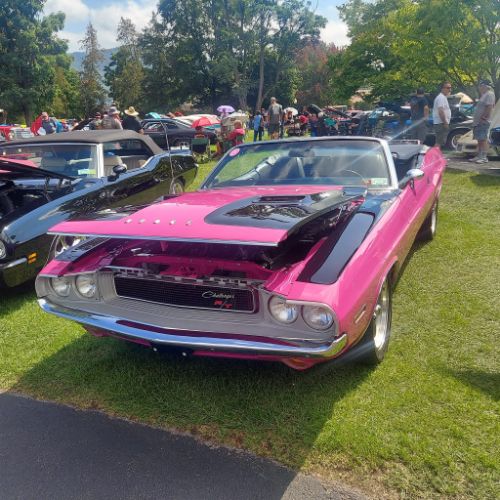 Unknown-Challenger-1970-Two-Tone-Panther-Pin-6