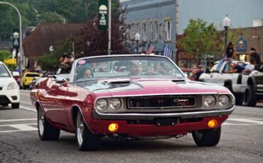 Unknown-Challenger-1970-Two-Tone-Panther-Pin-7
