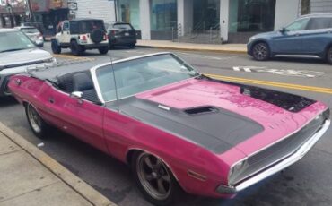 Unknown-Challenger-1970-Two-Tone-Panther-Pin-9