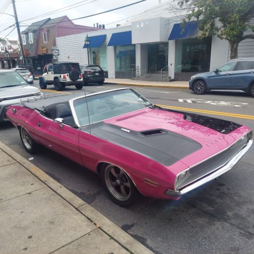 Unknown-Challenger-1970-Two-Tone-Panther-Pin-9