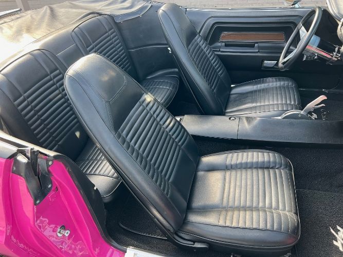 Unknown-Challenger-1970-Two-Tone-Panther-Pin