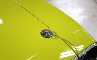 Unknown-Challenger-1971-Citron-Yellow-Black-16