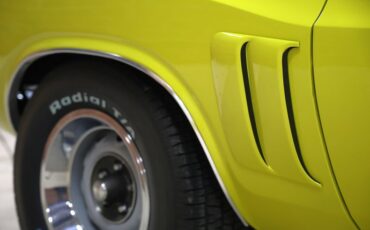 Unknown-Challenger-1971-Citron-Yellow-Black-29