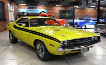 Unknown-Challenger-1971-Citron-Yellow-Black-6