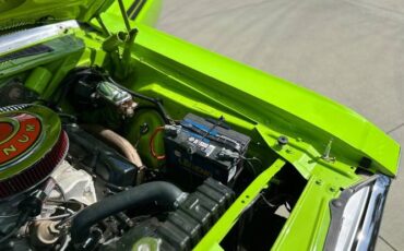 Unknown-Challenger-1971-Sublime-Green-22