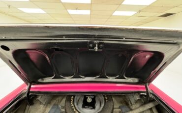 Unknown-Challenger-1972-Panther-Pink-Black-1