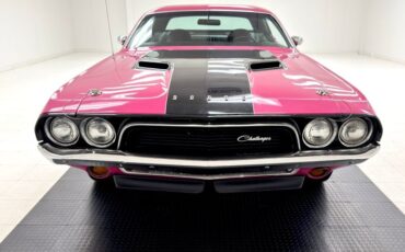 Unknown-Challenger-1972-Panther-Pink-Black-13