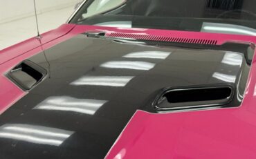 Unknown-Challenger-1972-Panther-Pink-Black-16