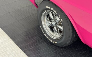 Unknown-Challenger-1972-Panther-Pink-Black-17