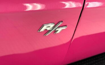 Unknown-Challenger-1972-Panther-Pink-Black-18