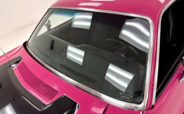 Unknown-Challenger-1972-Panther-Pink-Black-19