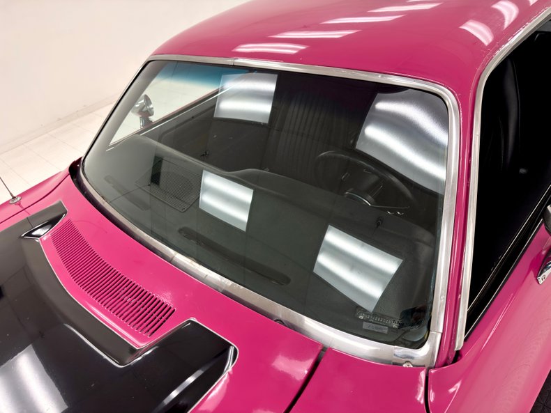 Unknown-Challenger-1972-Panther-Pink-Black-19