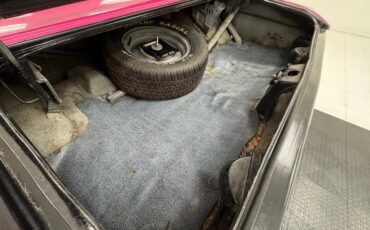 Unknown-Challenger-1972-Panther-Pink-Black-2