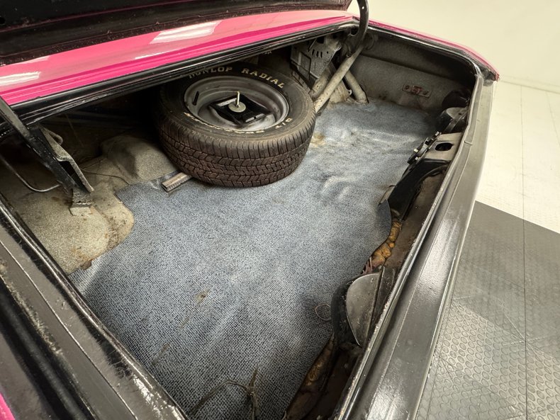 Unknown-Challenger-1972-Panther-Pink-Black-2