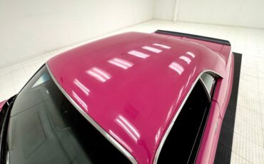 Unknown-Challenger-1972-Panther-Pink-Black-20