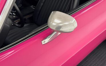 Unknown-Challenger-1972-Panther-Pink-Black-21