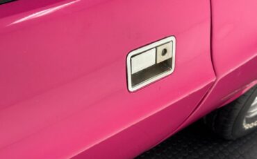 Unknown-Challenger-1972-Panther-Pink-Black-22