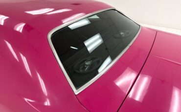 Unknown-Challenger-1972-Panther-Pink-Black-23