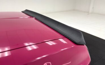 Unknown-Challenger-1972-Panther-Pink-Black-24