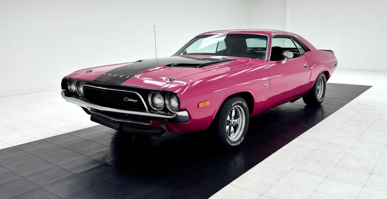 Unknown-Challenger-1972-Panther-Pink-Black-25