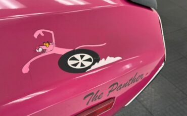 Unknown-Challenger-1972-Panther-Pink-Black-27