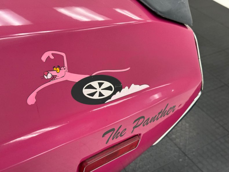 Unknown-Challenger-1972-Panther-Pink-Black-27