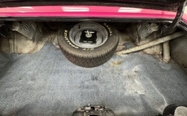 Unknown-Challenger-1972-Panther-Pink-Black-3