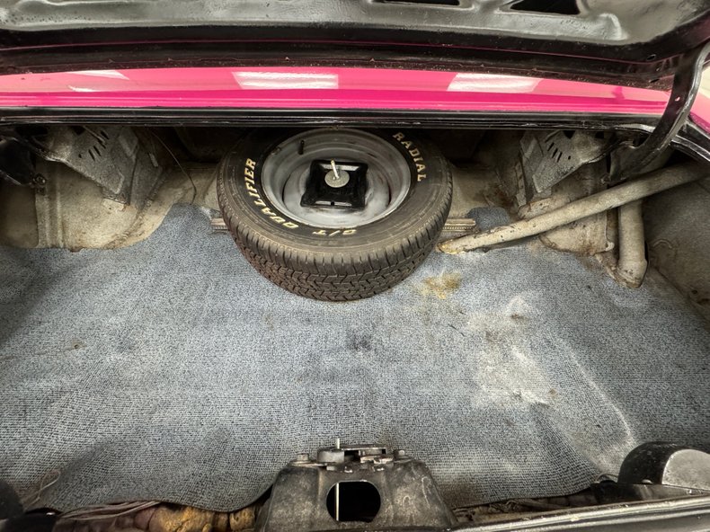 Unknown-Challenger-1972-Panther-Pink-Black-3
