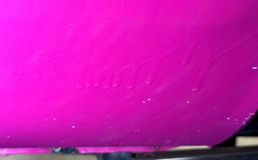 Unknown-Challenger-1972-Panther-Pink-Black-30
