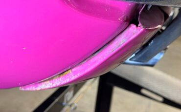 Unknown-Challenger-1972-Panther-Pink-Black-31