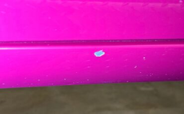Unknown-Challenger-1972-Panther-Pink-Black-32