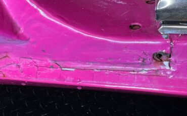 Unknown-Challenger-1972-Panther-Pink-Black-34