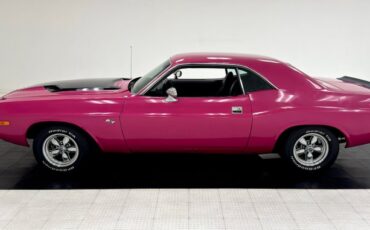 Unknown-Challenger-1972-Panther-Pink-Black
