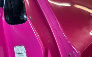 Unknown-Challenger-1972-Panther-Pink-Black-38