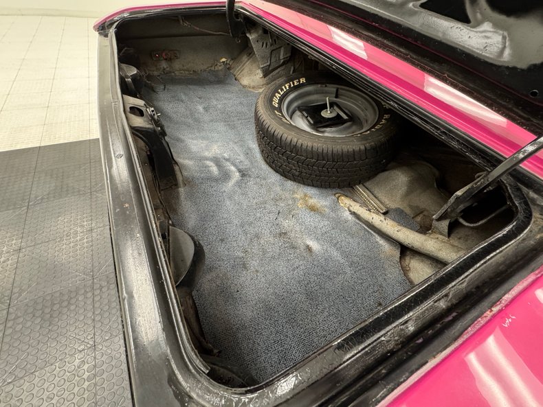 Unknown-Challenger-1972-Panther-Pink-Black-4