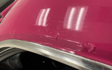 Unknown-Challenger-1972-Panther-Pink-Black-40