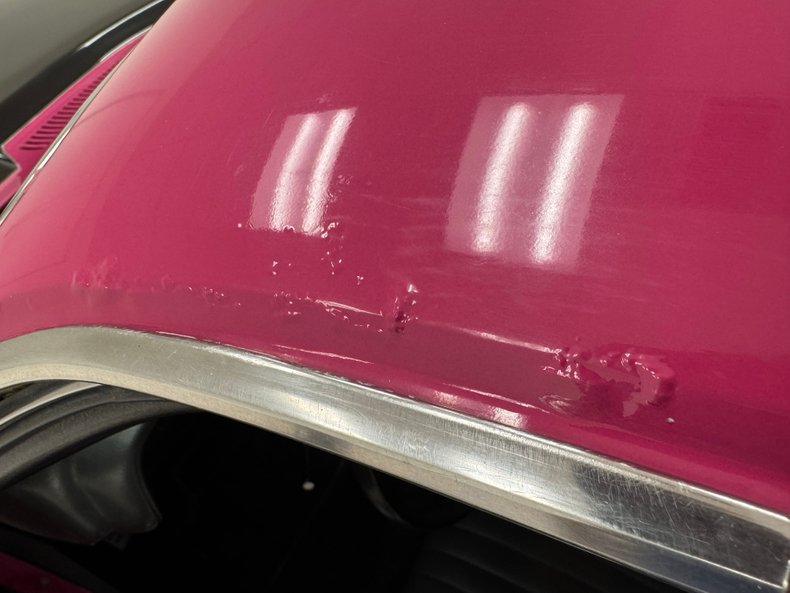 Unknown-Challenger-1972-Panther-Pink-Black-40