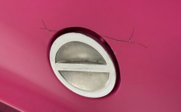Unknown-Challenger-1972-Panther-Pink-Black-45